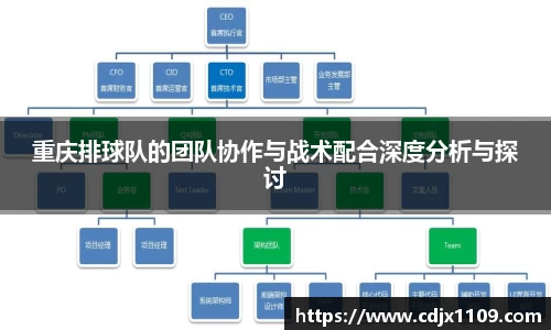 重庆排球队的团队协作与战术配合深度分析与探讨