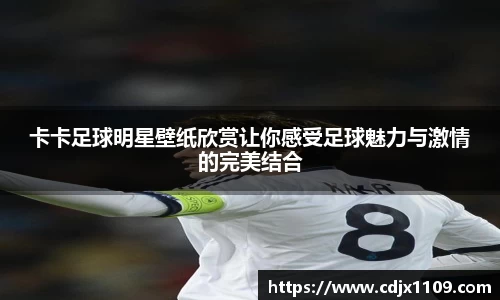 卡卡足球明星壁纸欣赏让你感受足球魅力与激情的完美结合