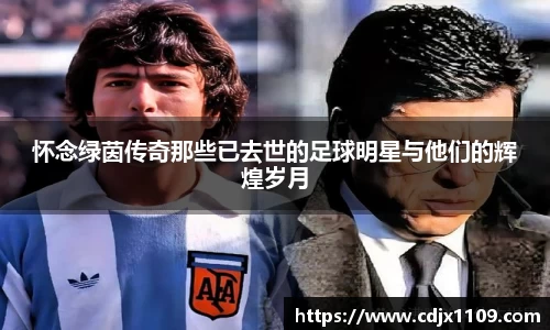 怀念绿茵传奇那些已去世的足球明星与他们的辉煌岁月