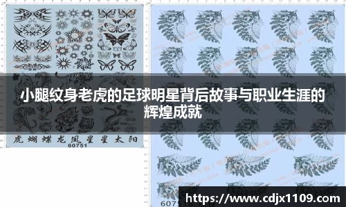 小腿纹身老虎的足球明星背后故事与职业生涯的辉煌成就